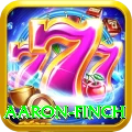 aaron finch Mega v3.3.9