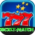 all cricket match - Mega Earning App