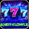 andy flower Bonus Prime v1.6.9