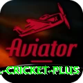 bbl cricket - Deluxe v1.0.1
