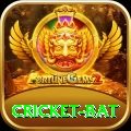 cricket bat Live King