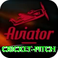 cricket pitch Extreme PK v3.5.4