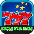 croaker fish Deluxe 2024