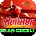india pakistan cricket Gaming Extreme v1.4.9