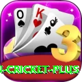 india pakistan cricket Deluxe APK v4.1.5