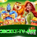 live cricket tv app Live Casino VIP