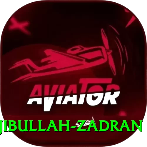najibullah zadran Super Gaming App - 2