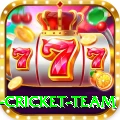 new zealand cricket team Plus v5.8.9