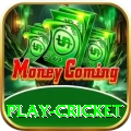 play cricket Pro Slots