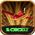 r cricket Premium PK v1.5.5