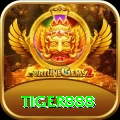 tiger888 Official v5.2.3